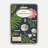 Cavallini | Herbarium Postcards | Conscious Craft